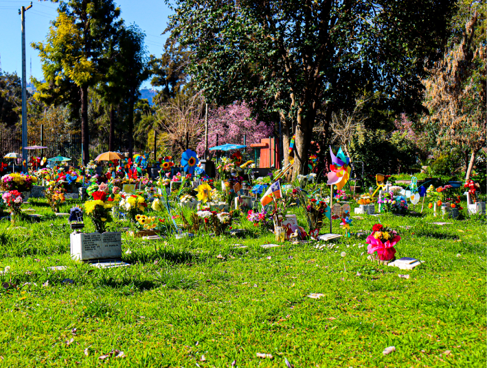 Cenizas en jardín