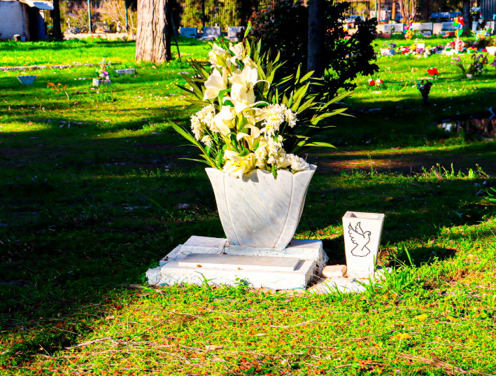 Cenizas en jardín