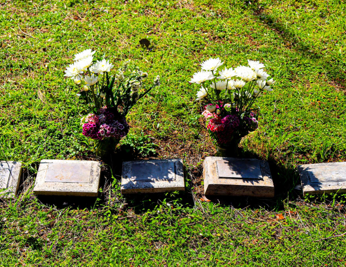 Cenizas en jardín
