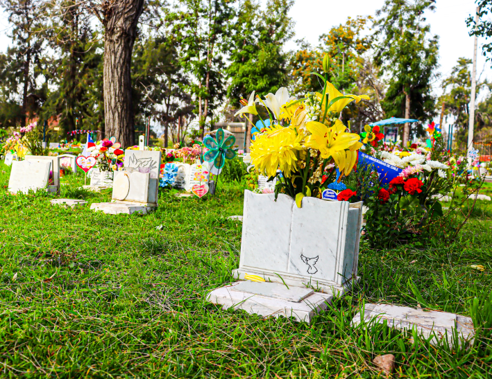 Cenizas en jardín