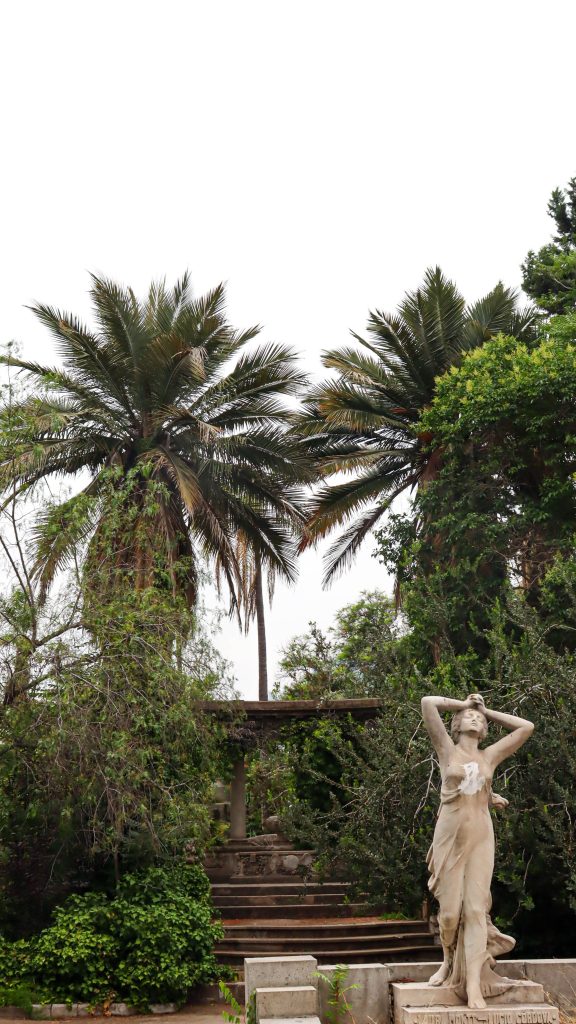 Cementerio General destaca protección internacional de la Palma Chilena e impulsa llamado al cuidado de nuestro patrimonio natural