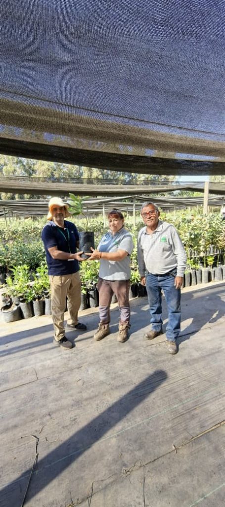 Cementerio General incorpora 80 especies nativas y avanza en su proyecto de Biocementerio