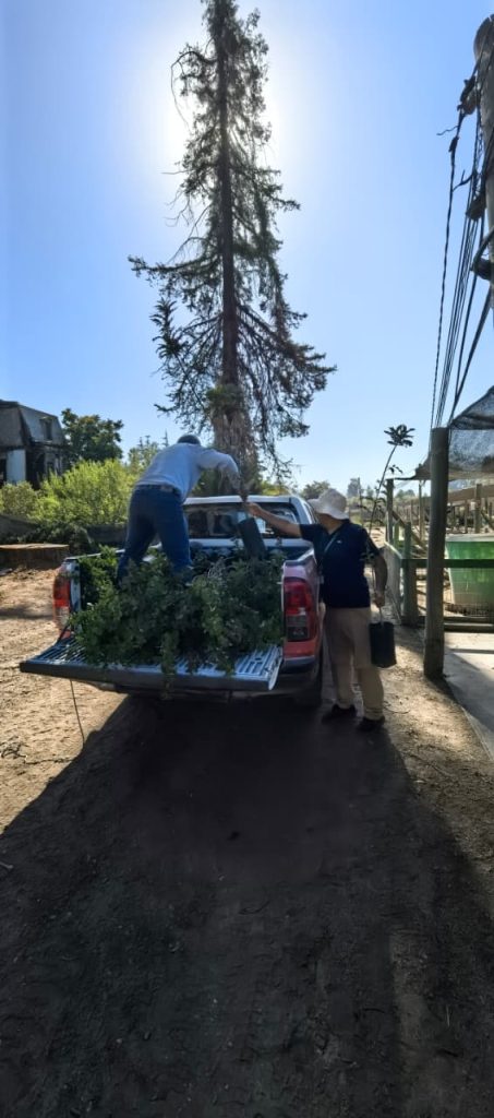 Cementerio General incorpora 80 especies nativas y avanza en su proyecto de Biocementerio