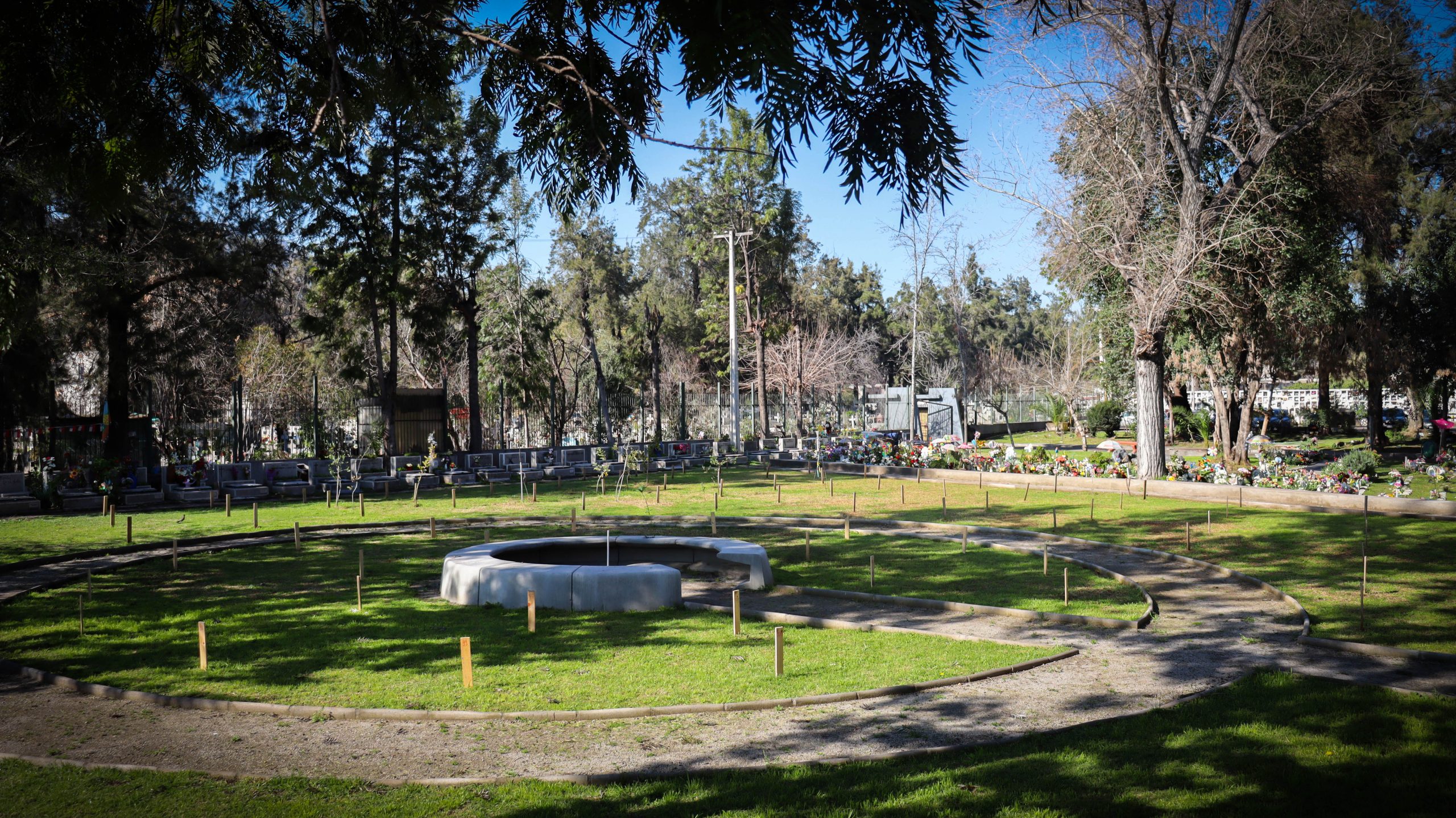 BioCementerio