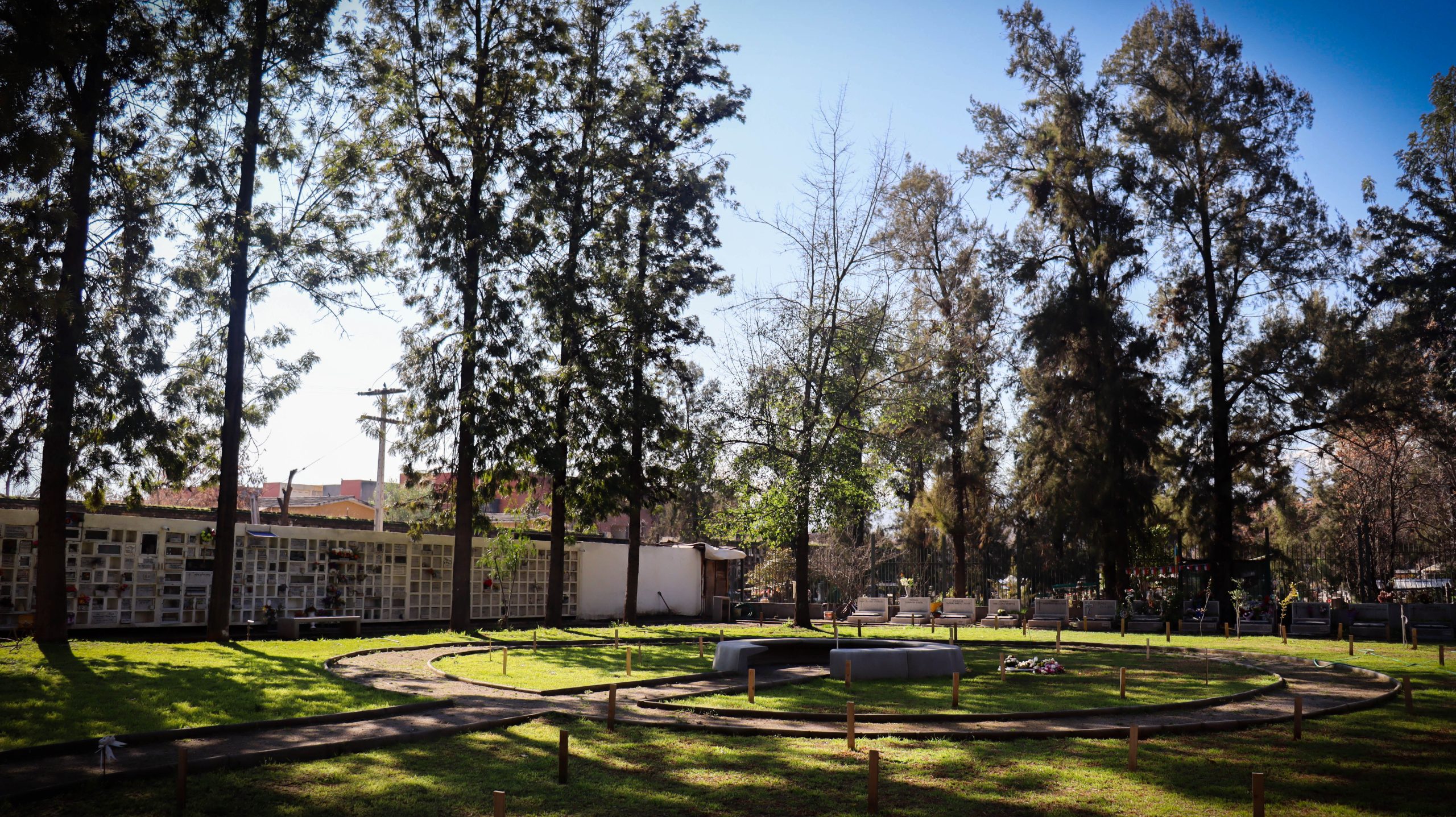 BioCementerio